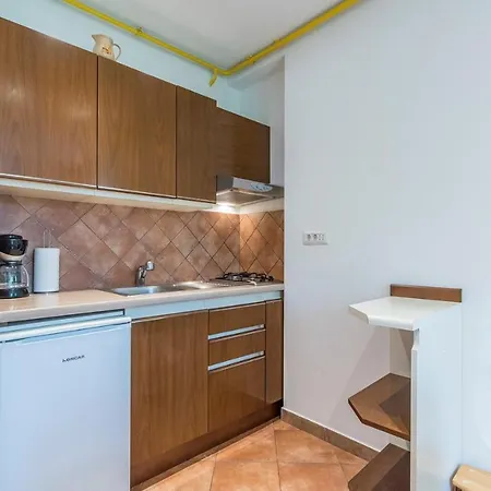 Guest house Complex Iris 3*