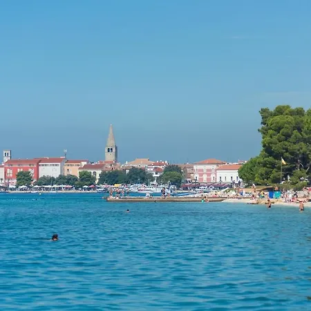 Complex Iris Porec