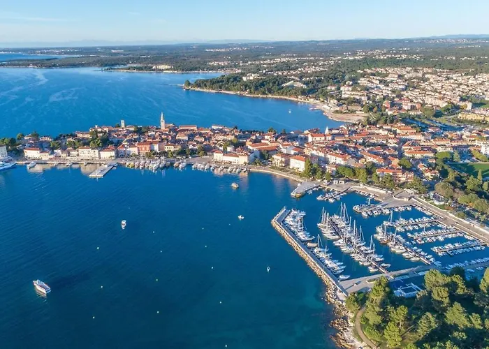 Complex Iris 3* 포레치