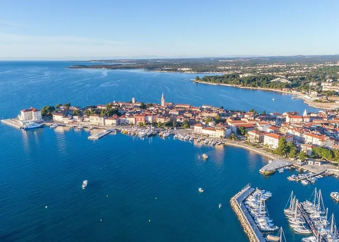 게스트하우스 Complex Iris