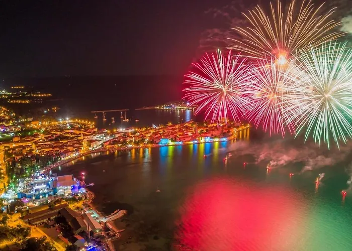 게스트하우스 Complex Iris