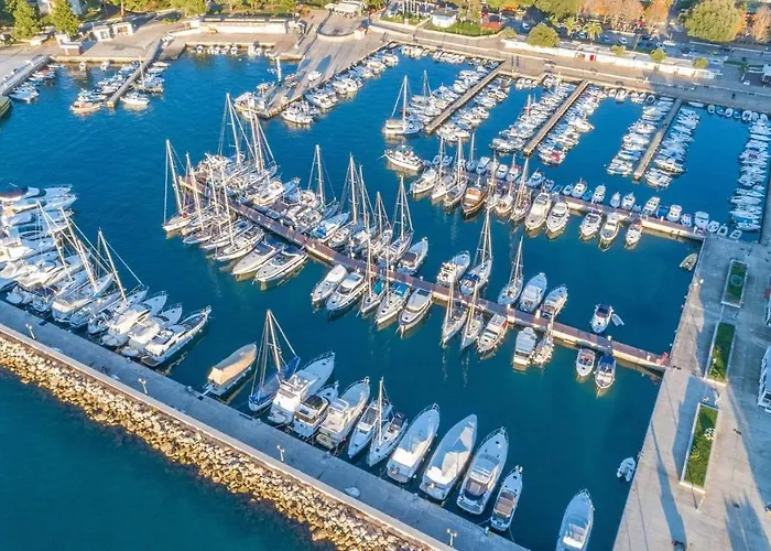 Complex Iris ゲストハウス 3*