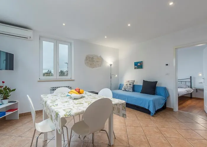 Complex Iris 포레치