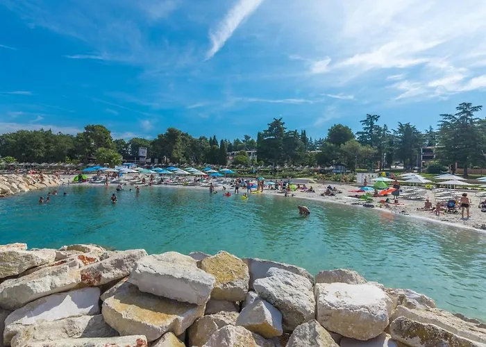 Complex Iris 게스트하우스 3*