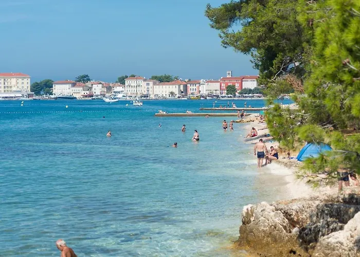 Complex Iris 招待所