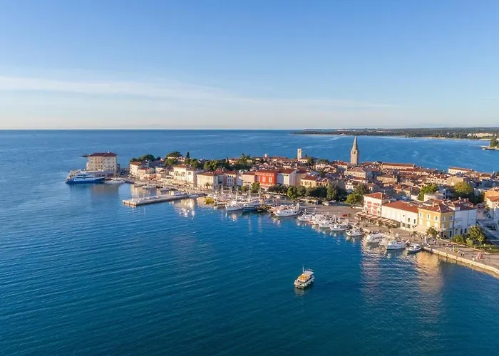 Complex Iris ポレッチ